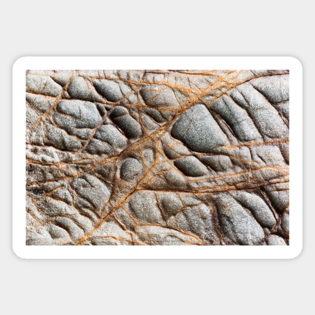 Fragile Orange Volcanic Veins Sticker by textural